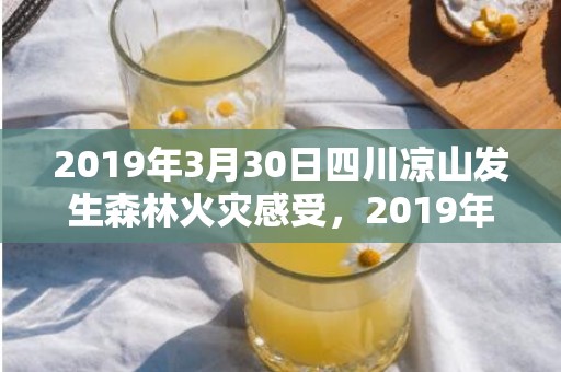 2019年3月30日四川凉山发生森林火灾感受，2019年3月3号出生的男宝宝五行缺木要如何起名字