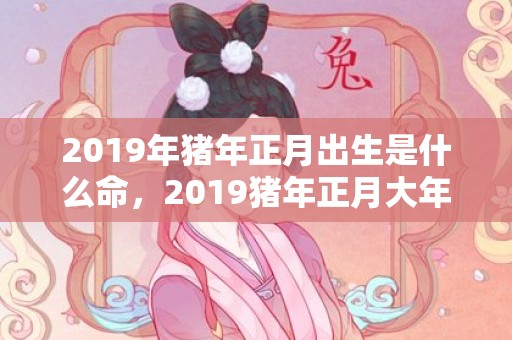 2019年猪年正月出生是什么命，2019猪年正月大年初一女孩五行缺火起名大全