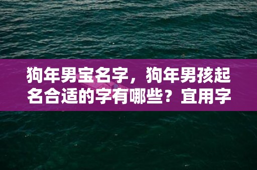 狗年男宝名字，狗年男孩起名合适的字有哪些？宜用字大全