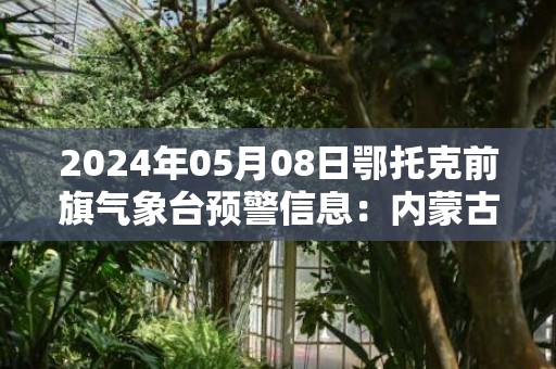 2024年05月08日鄂托克前旗气象台预警信息：内蒙古鄂尔多斯市鄂托克前旗发布冰雹橙色预警