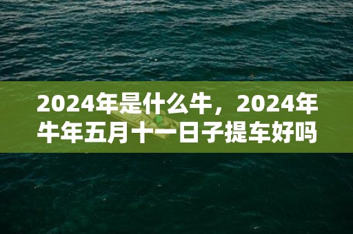 2024年是什么牛，2024年牛年五月十一日子提车好吗