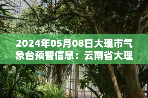 2024年05月08日大理市气象台预警信息：云南省大理白族自治州发布雷电黄色预警