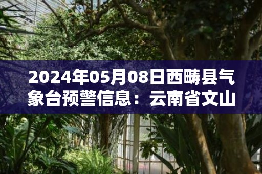 2024年05月08日西畴县气象台预警信息：云南省文山壮族苗族自治州西畴县发布暴雨橙色预警