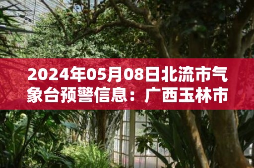 2024年05月08日北流市气象台预警信息：广西玉林市北流市更新暴雨红色预警