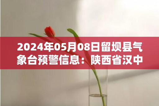 2024年05月08日留坝县气象台预警信息：陕西省汉中市留坝县发布暴雨橙色预警