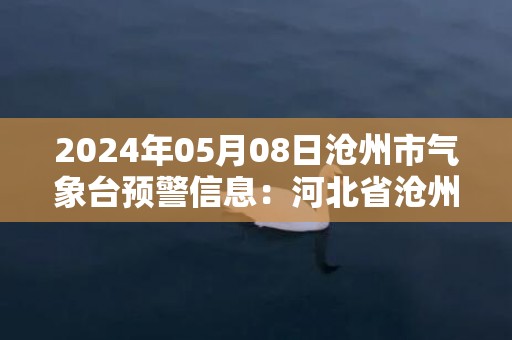 2024年05月08日沧州市气象台预警信息：河北省沧州市发布大风蓝色预警