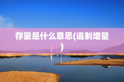 存量是什么意思(遏制增量)