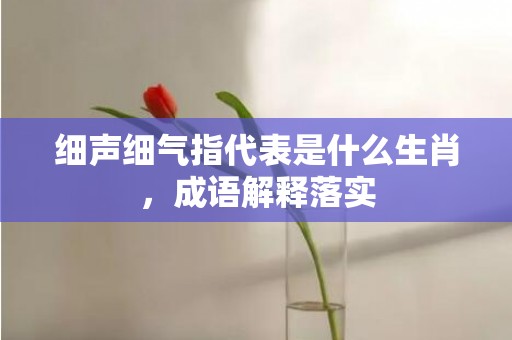 细声细气指代表是什么生肖，成语解释落实