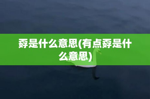 孬是什么意思(有点孬是什么意思)