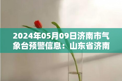 2024年05月09日济南市气象台预警信息：山东省济南市发布大风蓝色预警