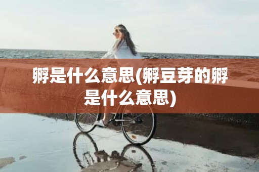 孵是什么意思(孵豆芽的孵是什么意思)