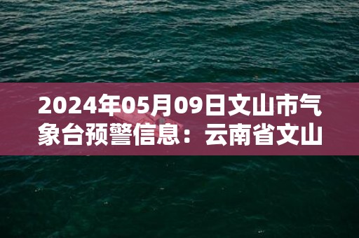 2024年05月09日文山市气象台预警信息：云南省文山壮族苗族自治州发布雷电黄色预警