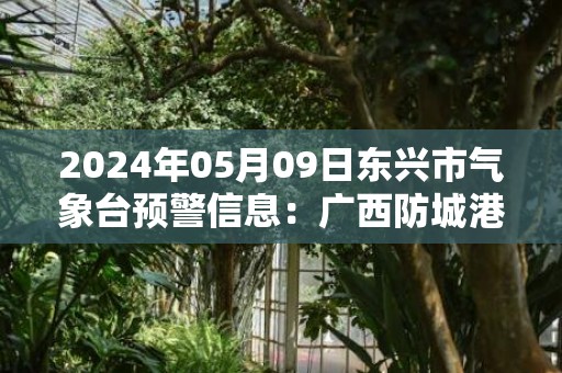 2024年05月09日东兴市气象台预警信息：广西防城港市东兴市发布暴雨橙色预警