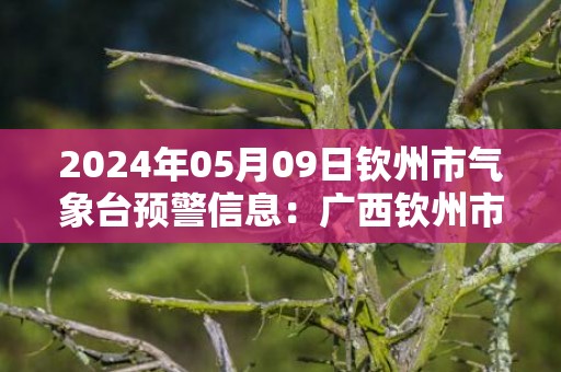 2024年05月09日钦州市气象台预警信息：广西钦州市发布暴雨橙色预警