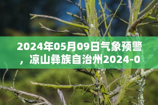 2024年05月09日气象预警，凉山彝族自治州2024-05-09星期四小雨最高温度29度