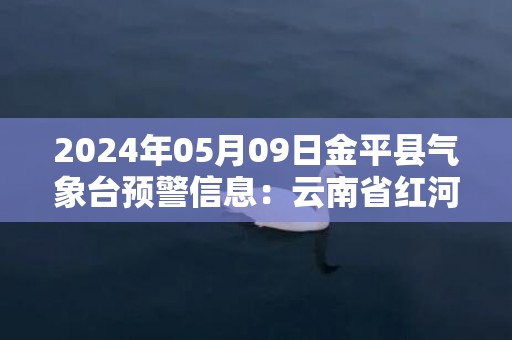 2024年05月09日金平县气象台预警信息：云南省红河哈尼族彝族自治州金平苗族瑶族傣族自治县发布暴雨橙色预警