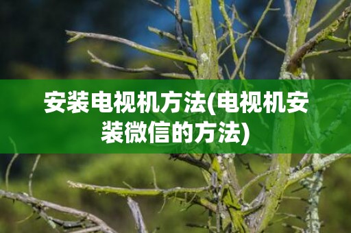 安装电视机方法(电视机安装微信的方法)