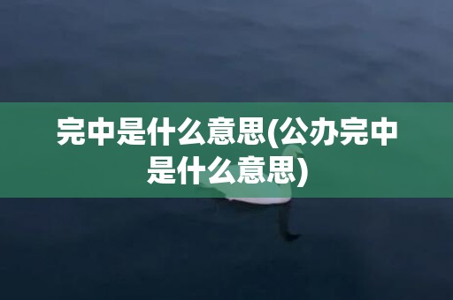 完中是什么意思(公办完中是什么意思)