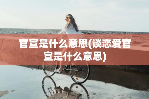 官宣是什么意思(谈恋爱官宣是什么意思)