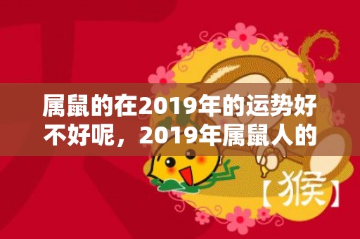 属鼠的在2019年的运势好不好呢，2019年属鼠人的运势如何？属鼠人2019年一月的运势好吗？