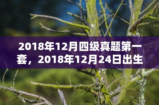 2018年12月四级真题第一套，2018年12月24日出生女孩怎么取名？女孩起名推荐