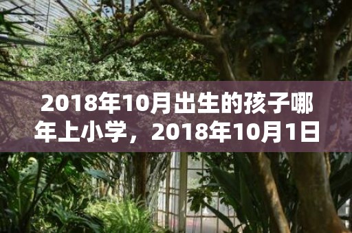 2018年10月出生的孩子哪年上小学，2018年10月1日出生女宝宝如何起名？有什么好起名方法吗？