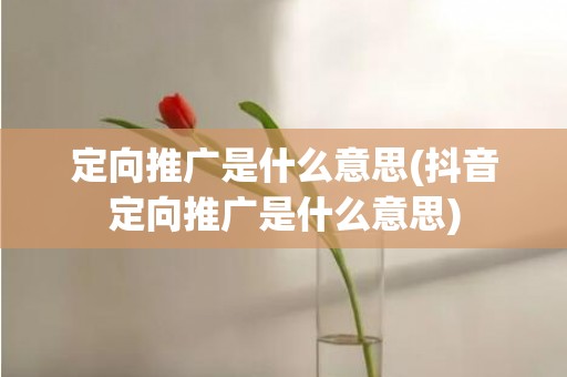 定向推广是什么意思(抖音定向推广是什么意思)