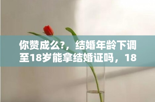 你赞成么?，结婚年龄下调至18岁能拿结婚证吗，18周岁结婚领证了,结婚证有效吗