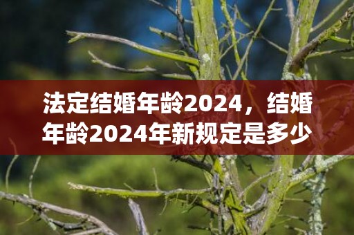 法定结婚年龄2024，结婚年龄2024年新规定是多少岁以上(结婚年龄2021年新规定)