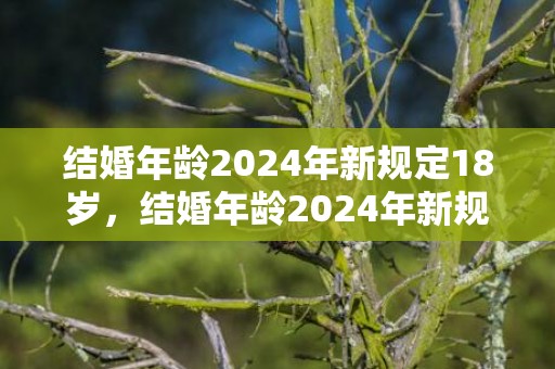 结婚年龄2024年新规定18岁，结婚年龄2024年新规定是多少周岁呢？结婚年龄2021年新规定