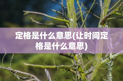 定格是什么意思(让时间定格是什么意思)