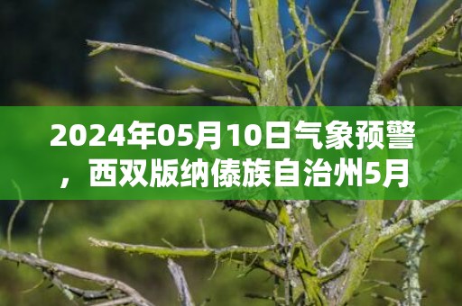 2024年05月10日气象预警，西双版纳傣族自治州5月10日周五小雨转多云最高温度34度