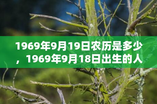 1969年9月19日农历是多少，1969年9月18日出生的人命好吗