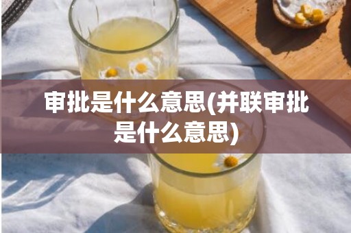 审批是什么意思(并联审批是什么意思)