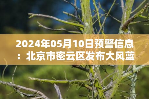 2024年05月10日预警信息：北京市密云区发布大风蓝色预警