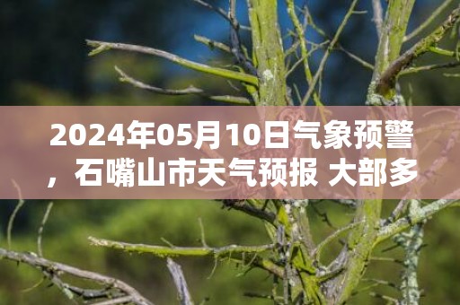 2024年05月10日气象预警，石嘴山市天气预报 大部多云