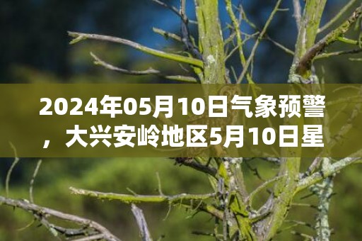 2024年05月10日气象预警，大兴安岭地区5月10日星期五天气预报 大部多云转小雨