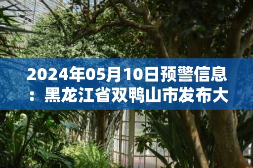 2024年05月10日预警信息：黑龙江省双鸭山市发布大风蓝色预警