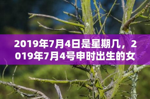 2019年7月4日是星期几，2019年7月4号申时出生的女孩怎么起名好听，五行是什么？