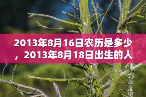 2013年8月16日农历是多少，2013年8月18日出生的人命好吗