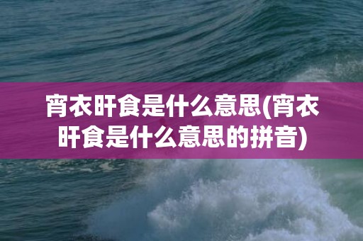 宵衣旰食是什么意思(宵衣旰食是什么意思的拼音)