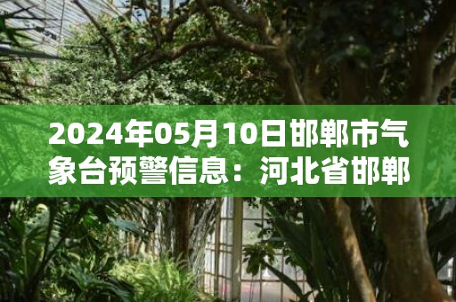 2024年05月10日邯郸市气象台预警信息：河北省邯郸市发布雷暴大风黄色预警