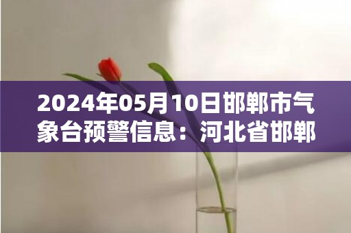 2024年05月10日邯郸市气象台预警信息：河北省邯郸市发布雷电黄色预警