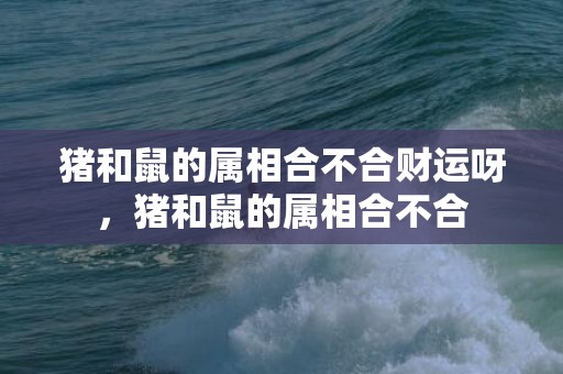 猪和鼠的属相合不合财运呀，猪和鼠的属相合不合