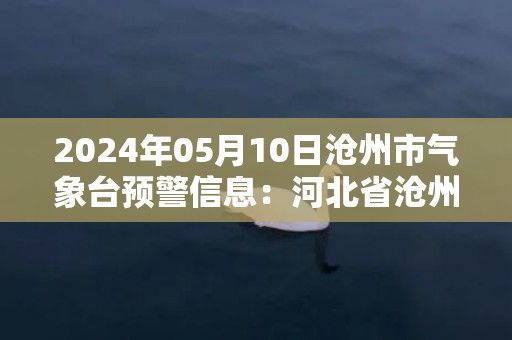 2024年05月10日沧州市气象台预警信息：河北省沧州市发布雷电黄色预警