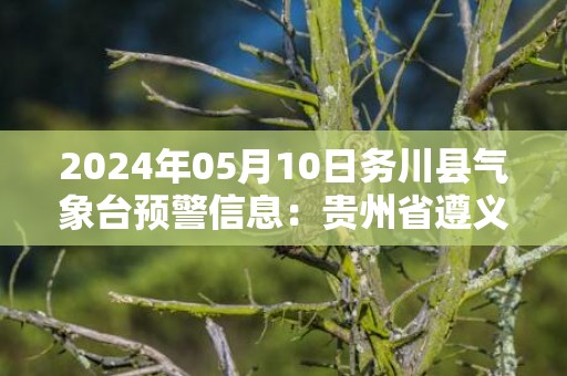 2024年05月10日务川县气象台预警信息：贵州省遵义市务川仡佬族苗族自治县发布冰雹橙色预警