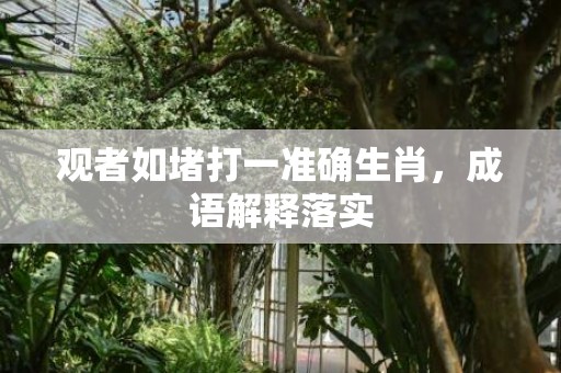 观者如堵打一准确生肖，成语解释落实