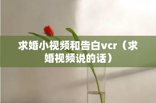 求婚小视频和告白vcr（求婚视频说的话）