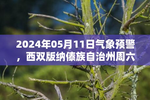 2024年05月11日气象预警，西双版纳傣族自治州周六天气预报 大部小雨转晴