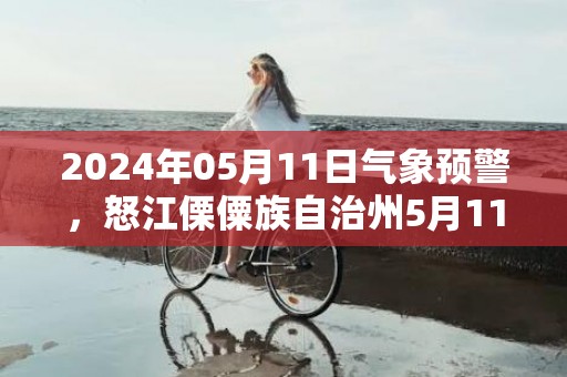 2024年05月11日气象预警，怒江傈僳族自治州5月11日天气预报 大部小雨